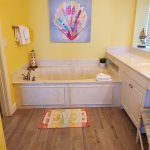 Master Bath Jacuzzi Tub